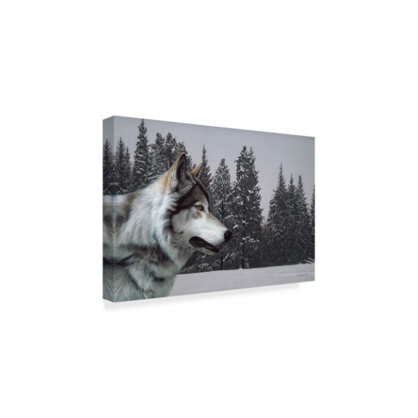 Ron Parker 'Wolf Portrait' Canvas Art,30x47